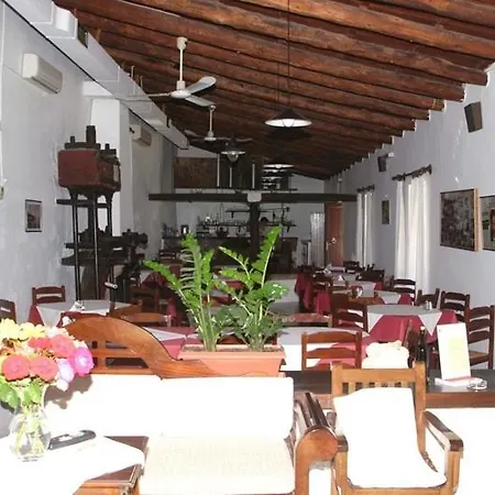 Oasis