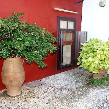Hotel Oasis 2*