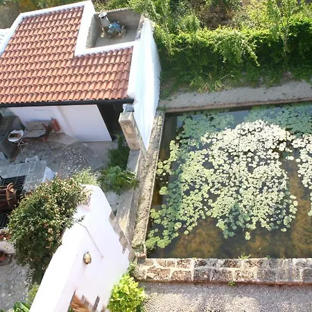 Hotel Oasis Chania (Crete)